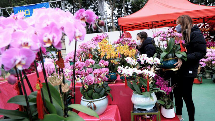 食環署：農曆年宵市場運作暢順