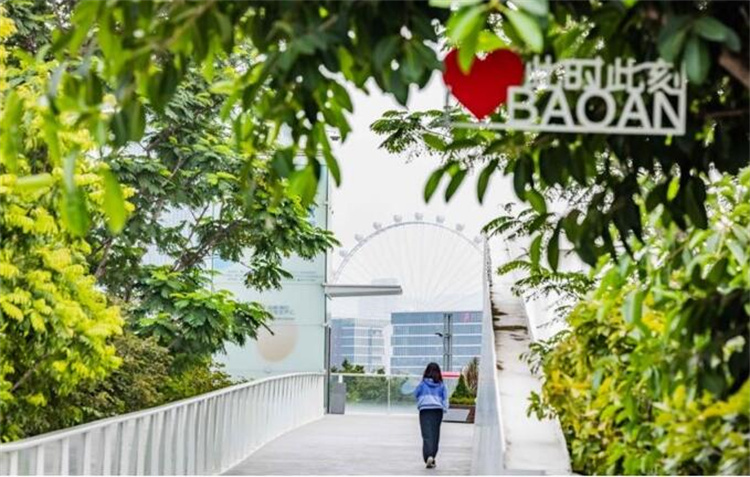 「千年古邑·灣區新城」寶安濱海廊橋時光影像展陪你迎兔年