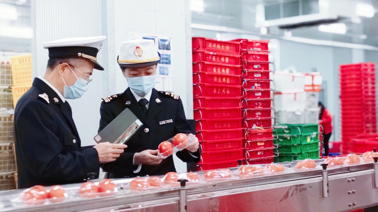 2022年廣東外貿再創歷史新高