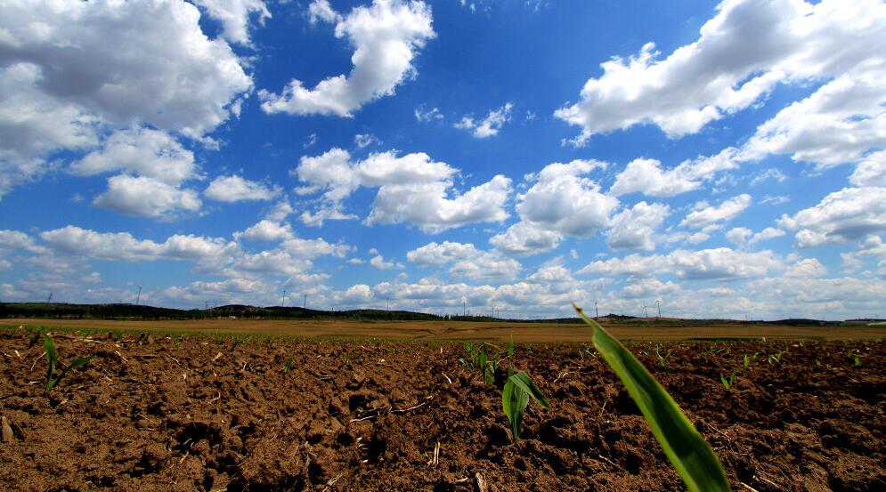 「十四五」期間中國新增建設用地規模將比「十三五」壓減300萬畝