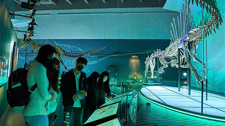 科學館恐龍展下月22日結束 市民萬勿錯過