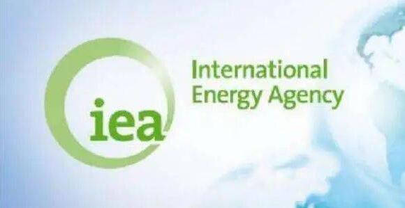 國際能源署署長：中國是發展綠色能源技術的重要力量