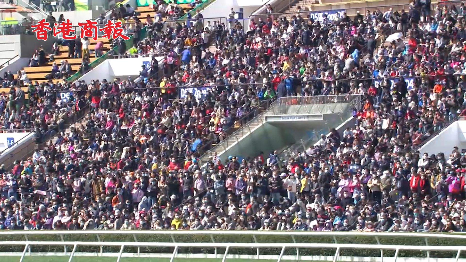 有片丨香港賽馬賀新春 超8萬人入場創三年新高
