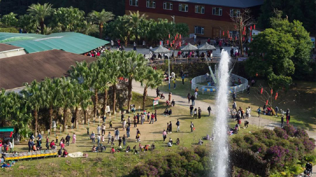 廣州增城：接待遊客約70萬人次！濃濃年味催旺增城旅遊經濟