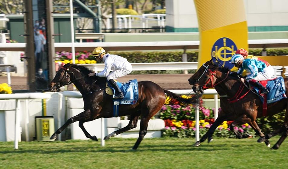 沙田馬場再發生意外 退役馬晨運發脾氣踢傷職員