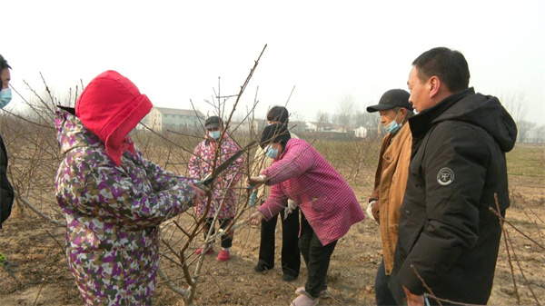 河南內黃：培養能工巧匠 賦能鄉村振興