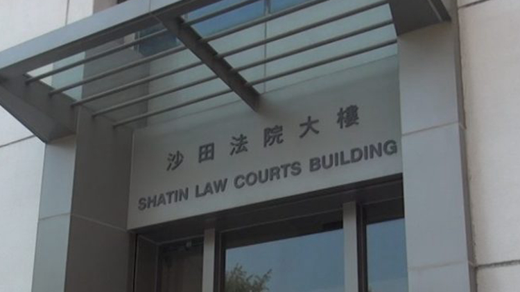 女子承認14項涉及「起底」控罪 下月8日判刑