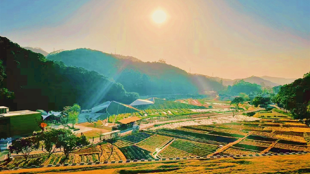 同比增長200% 從化天人山水景區新春「開門紅」