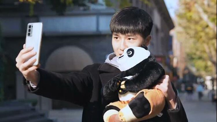 有片丨「技藝•一脈相承」海峽兩岸青年共尋功夫熊貓