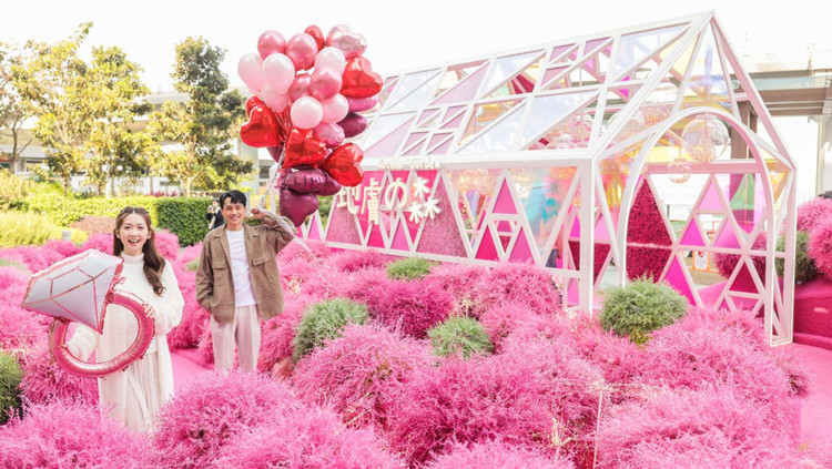 北角海濱推粉紅情人放閃節