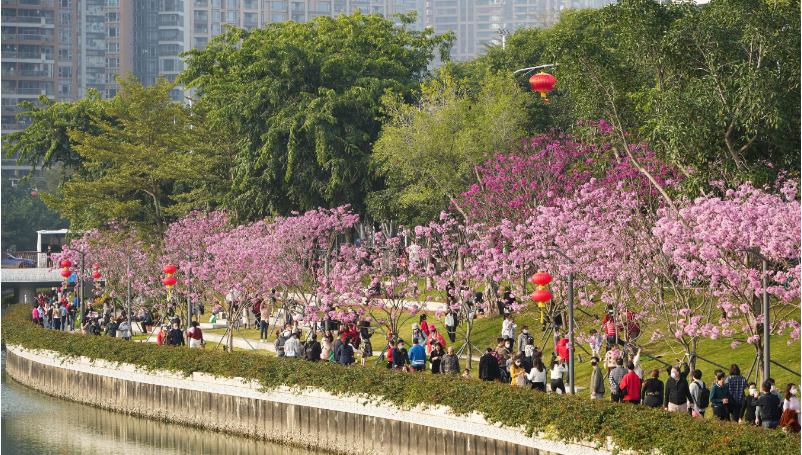 深圳8部門聯合印發《關於進一步支持中小微企業紓困及高質量發展的若干措施》