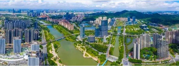 兔年好開局 大灣區尋機遇「兔」氣揚眉