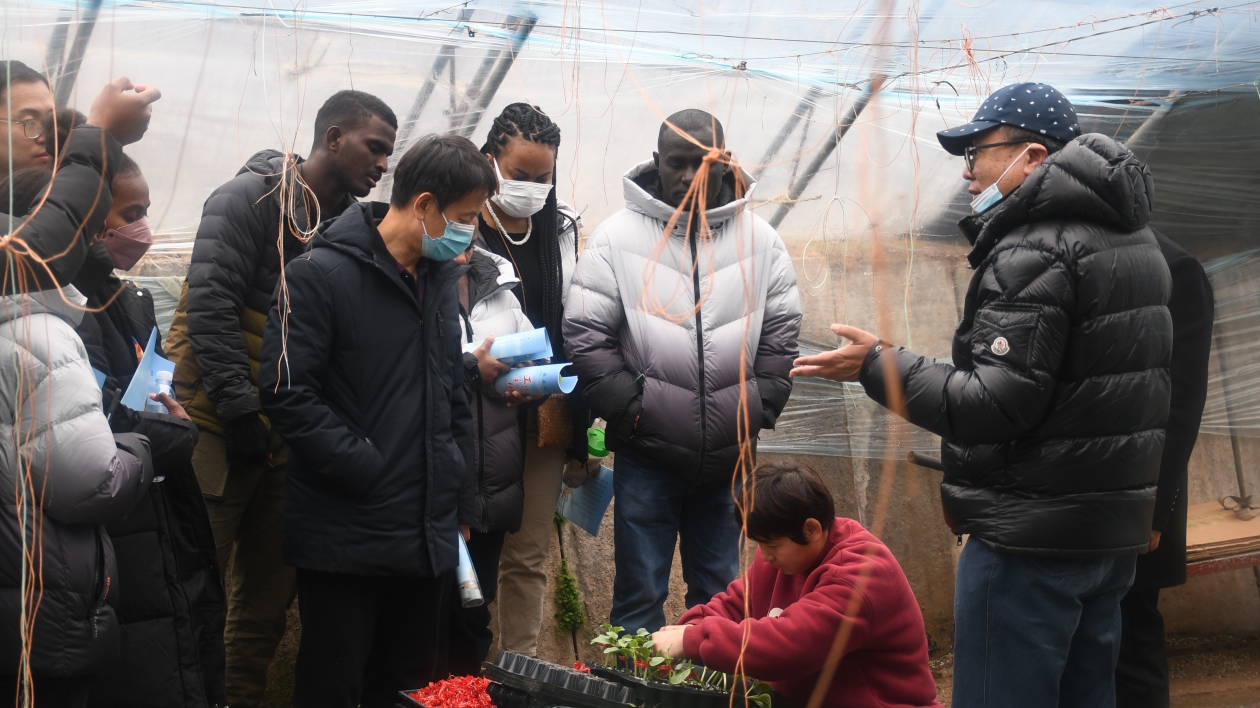 「外眼看聊城」共享農業發展新機遇