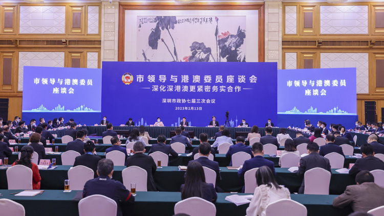 港澳政協委員為深化深港澳更緊密務實合作建言獻策