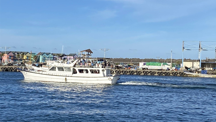 【海峽觀察】恢復兩岸航點 民進黨空話多實幹少