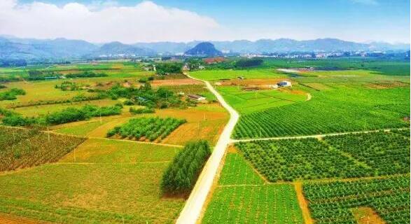 【經濟觀察】中央一號文件首提「農業強國」透露哪些信號？