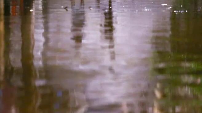 巴西聖保羅州暴雨致死人數升至24人