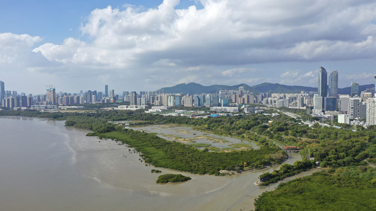 深圳全國第一！一圖讀懂2022中小企發展環境評估報告