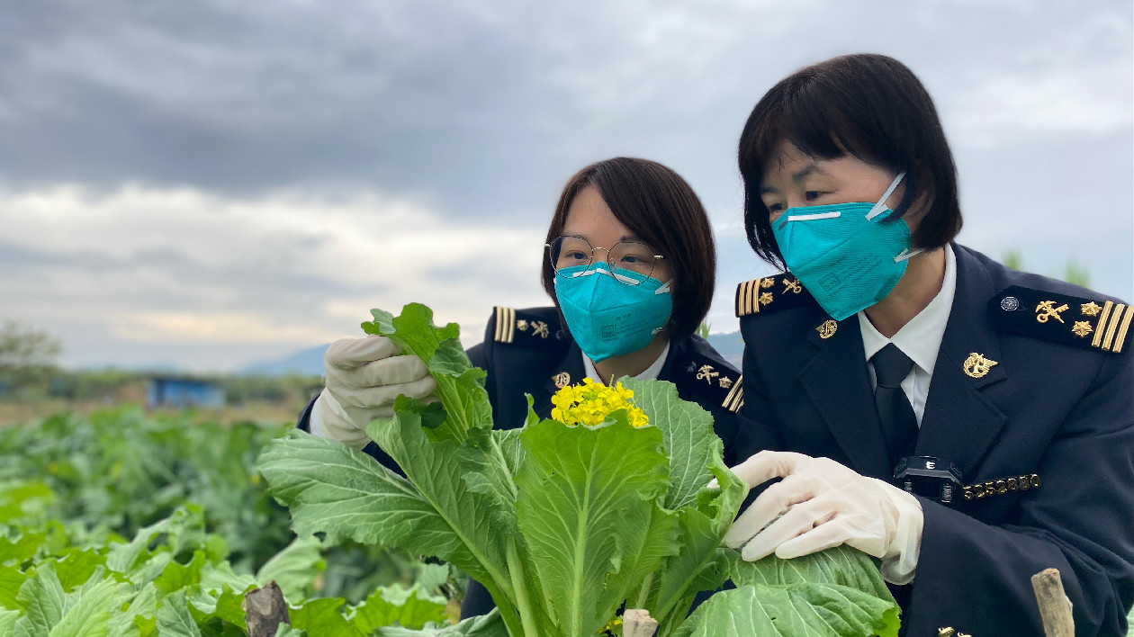 全力保障供港澳農產品  2022年廣東農產品進出口規模居全國首位