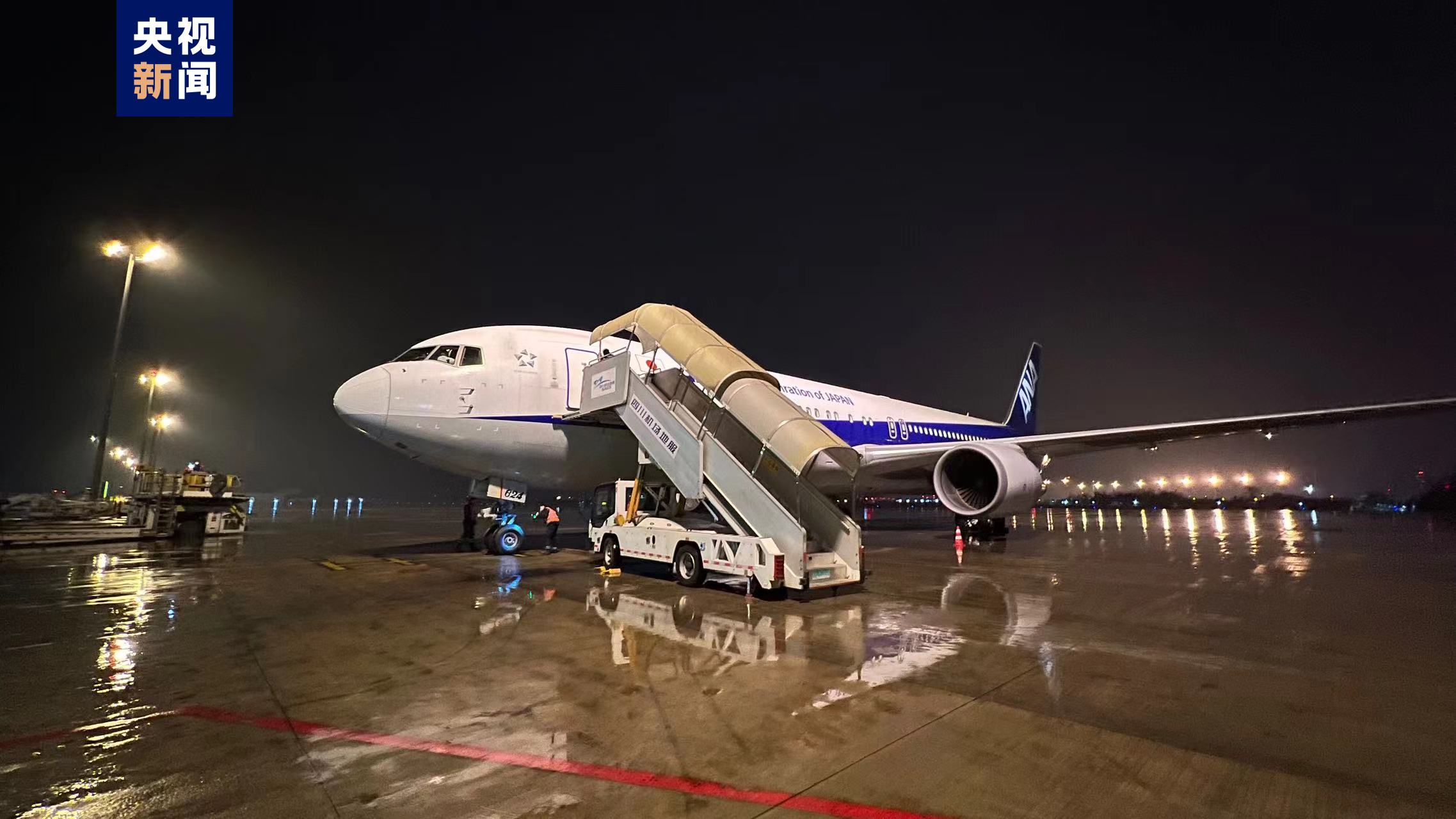 旅日大熊貓「永明」及雙胞胎女兒飛抵成都