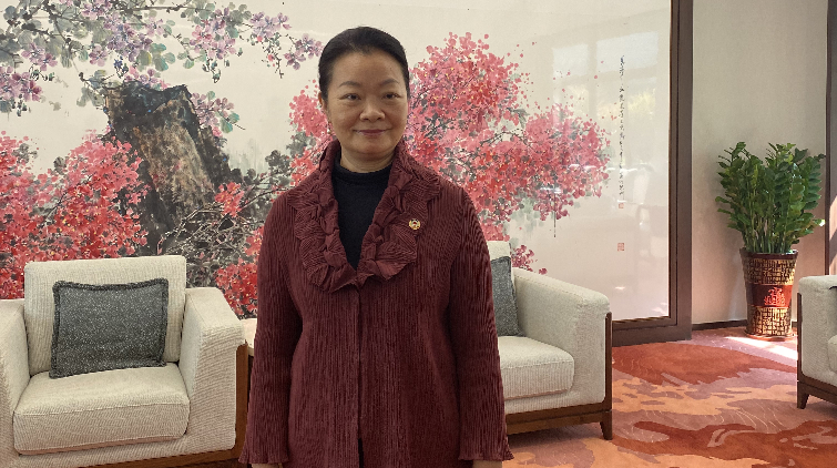 全國政協委員陳倩雯：深化粵港澳合作 高質量推進大灣區建設