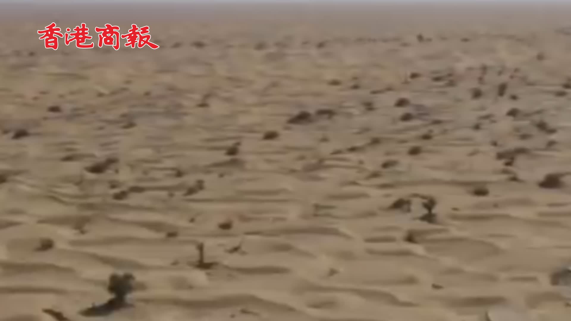 有片 | 藏在塔克拉瑪干沙漠的世外桃源