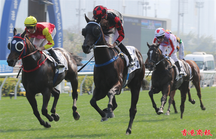 有片 | 「舞林密碼」初出屈居亞軍 郭富城無緣拉頭馬