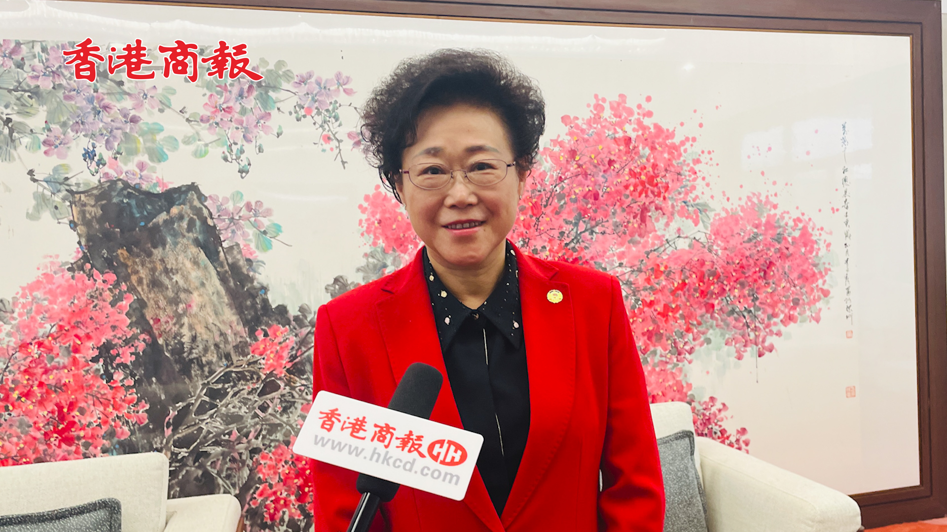 有片丨全國政協委員、深圳市政協副主席吳以環冀用港澳優勢促灣區發展