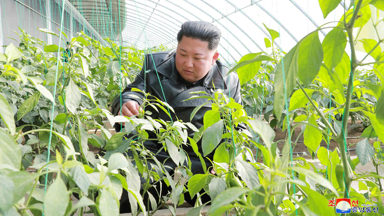 金正恩下令改善基建以提高糧食產量