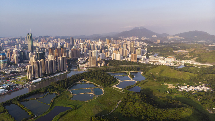 【商界心聲】港深聯動助力灣區高質量發展