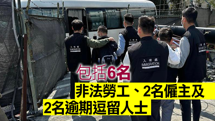 入境處全港各區打擊非法勞工 拘捕10人