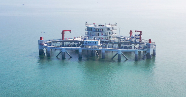 【計出新角度】智能化漁業能夠創價