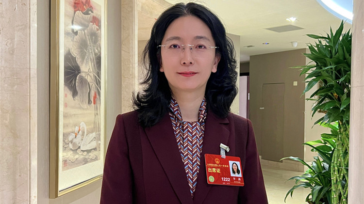 全國人大代表李燕：建議全面停止向未成年人提供網遊