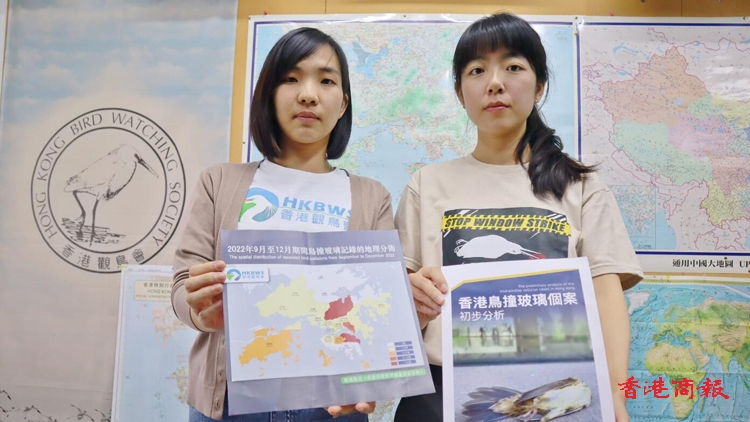 四個月內全港「鳥撞」死亡179例 觀鳥會呼籲市民協助舉報個案