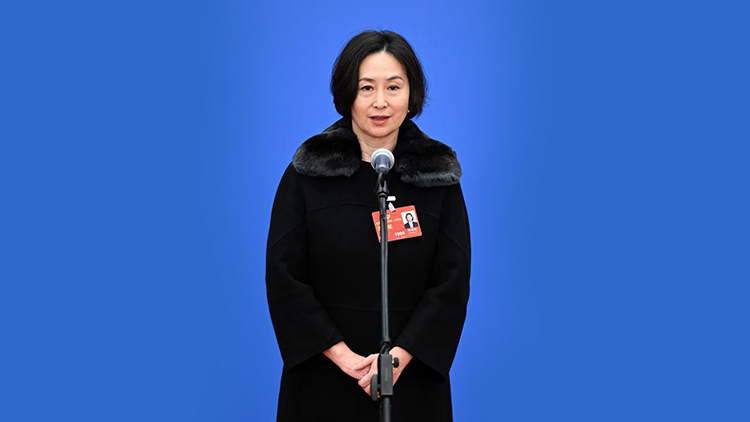 全國政協委員、全國工商聯副主席何超瓊：我是大灣區人