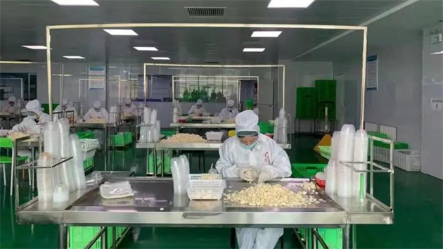 創建特色輕工產業園助推蘭州工業重振的思考