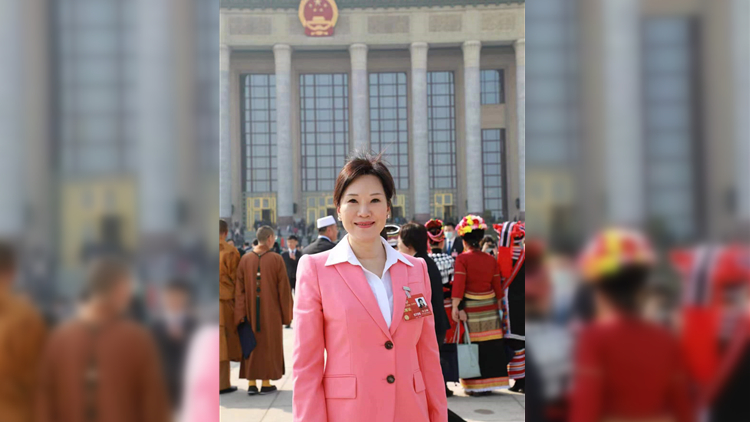 全國政協委員翟美卿： 引導港澳企業家投身大灣區建設