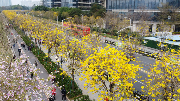 廣東搭建招商引資對接平台 推動內外資招商引資一體化