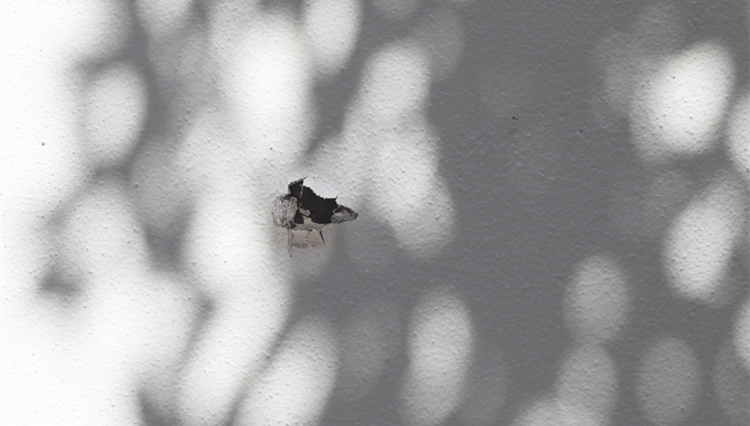 美國得州3歲女孩家中意外開槍打死4歲姐姐