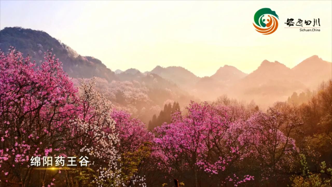 花開天府 安逸四川，四川邀你共賞春色