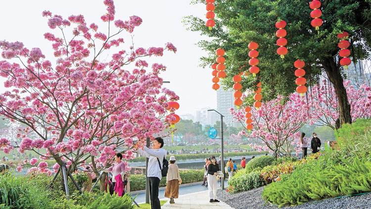 深圳入圍內地20大賞花勝地 賞花帶動露營產品「大賣」