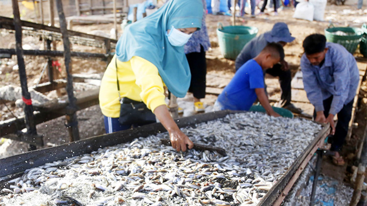 柬埔寨去年驅逐近6000名外國人