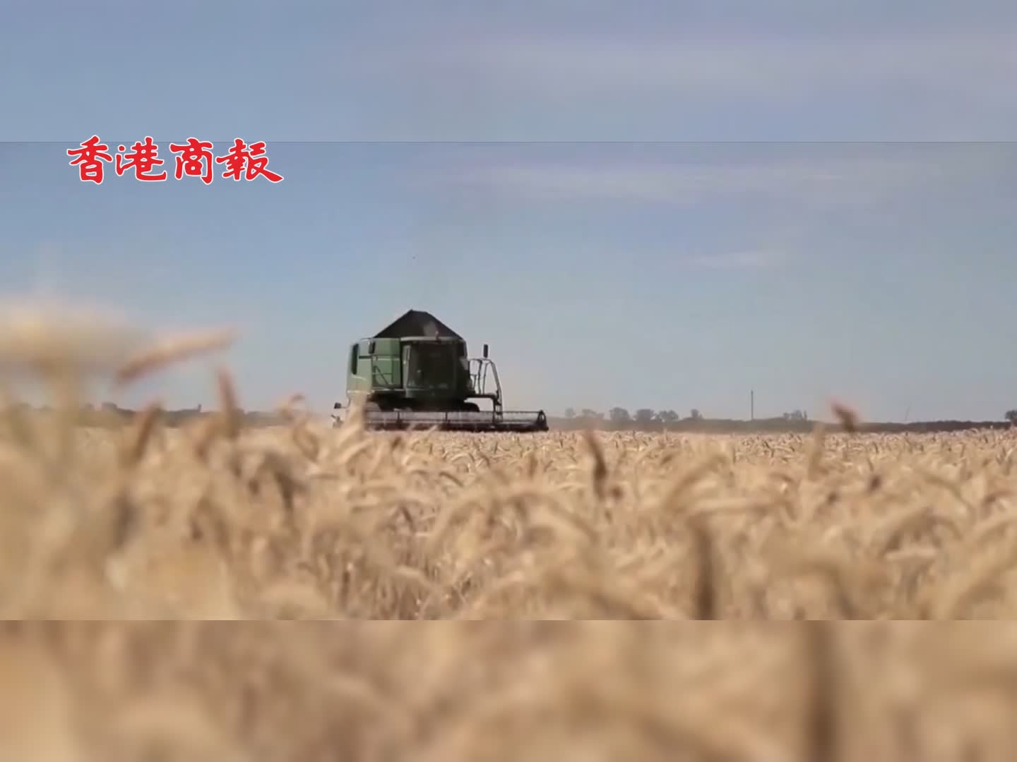 有片｜再延60天！俄羅斯副外長：黑海糧食外運協議已續簽