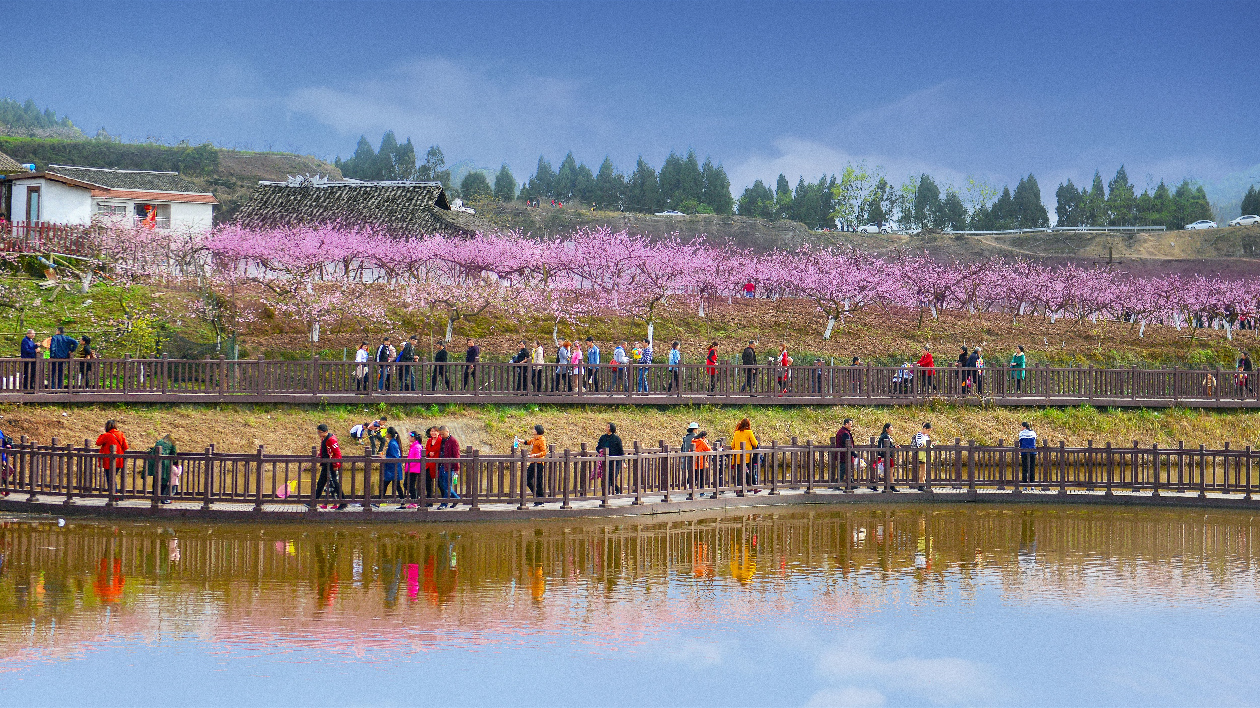 四川南充： 十萬畝桃花次第開放 到有機西充看春天