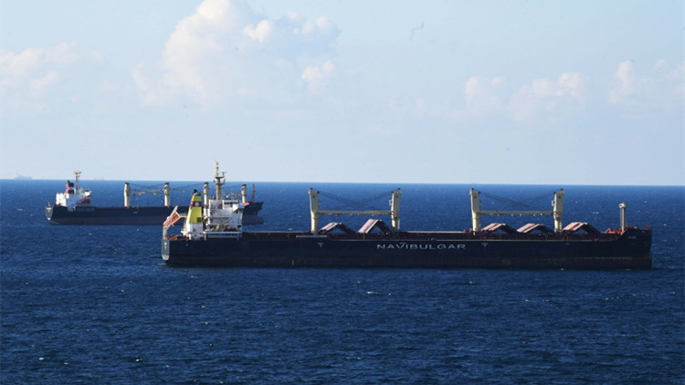 聯合國：黑海港口農產品外運協議已延長