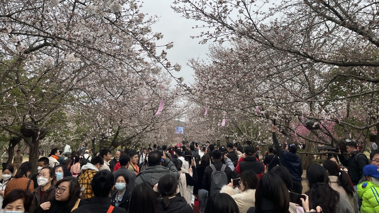 無錫：大力發展特色文化產業 推動創新發展