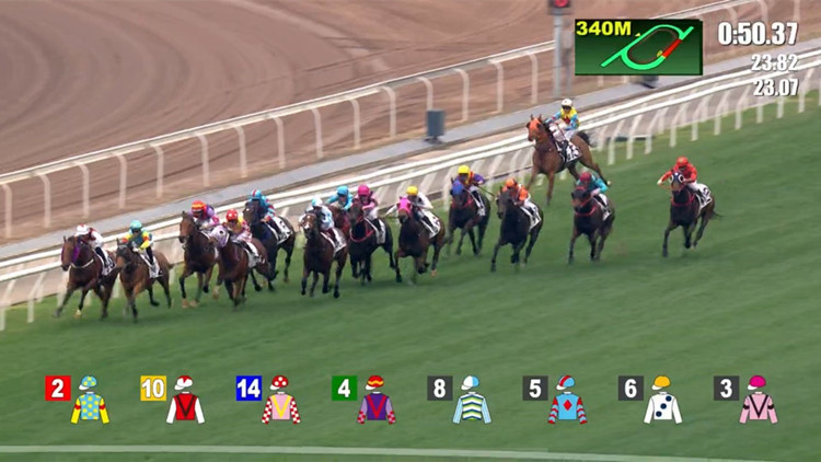 有片 | 奮鬥齊心失控撞欄場面驚險 楊明綸墮馬情況穩定