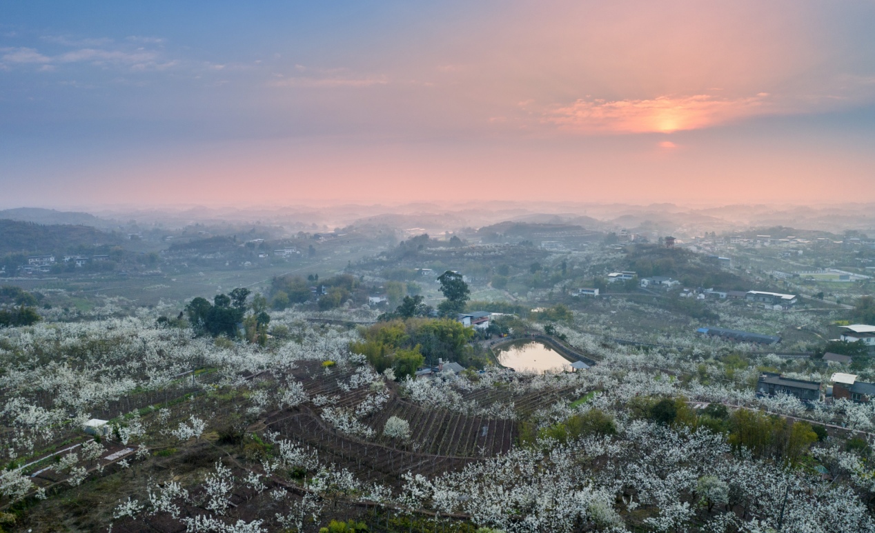 第三屆仁壽縣鄉村文化旅遊季宣傳推廣活動啟動