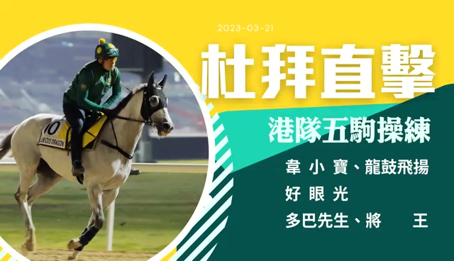 商報杜拜直擊｜港隊5駒今早進行操練 伍鵬志親試龍鼓飛揚成焦點