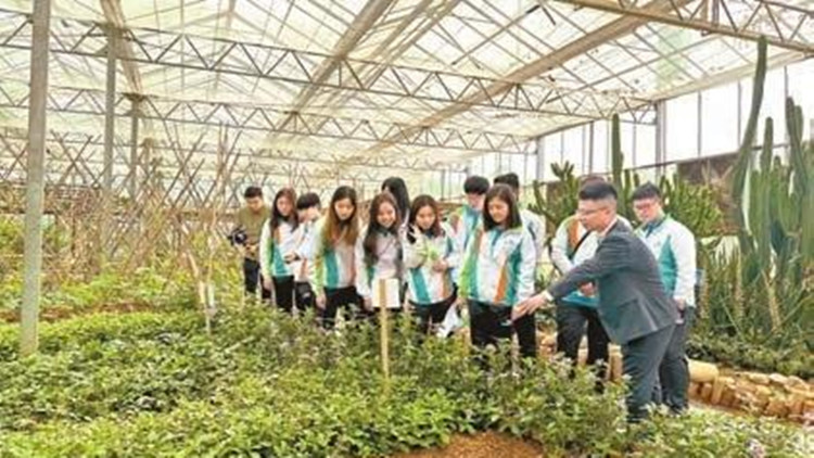 香港青少年走進深圳光明農場